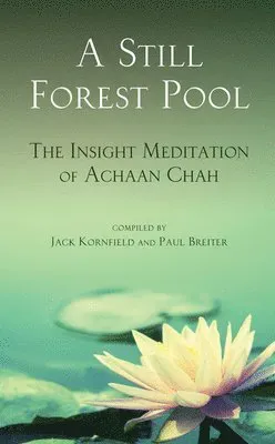 Still Forest Pool