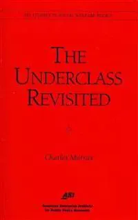 The Underclass Revisited