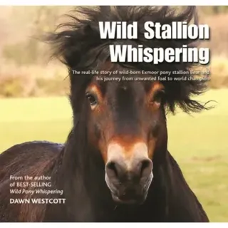 Wild Stallion Whispering