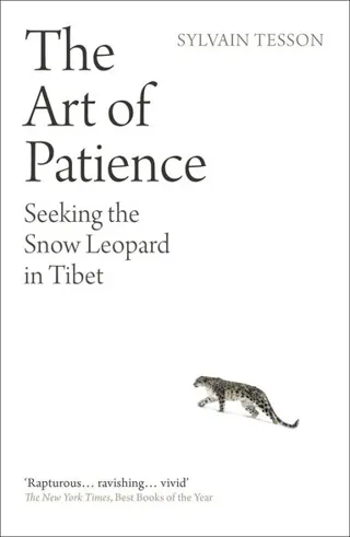 The Art of Patience