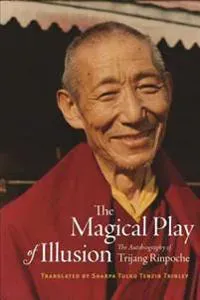 The Magical Play of Illusion