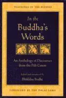 In the Buddha's Words