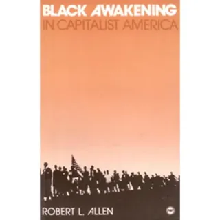 Black Awakening in Capitalist America: An Analytical History