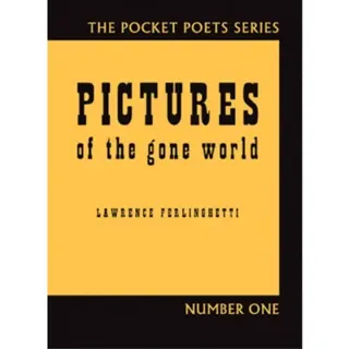 Pictures of the Gone World