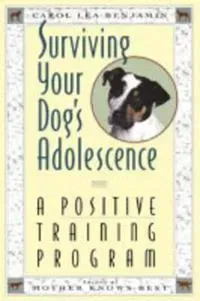 Surviving Your Dog's Adolescence