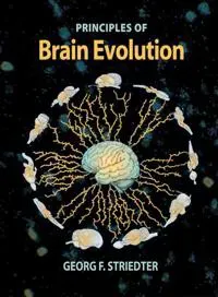 Principles of Brain Evolution