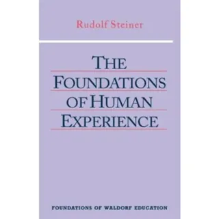 The Foundations of Human Experience