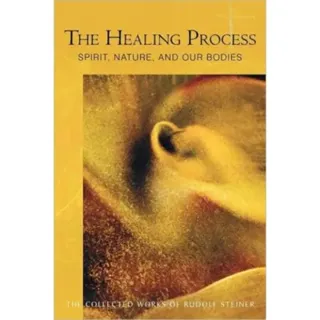 The Healing Process