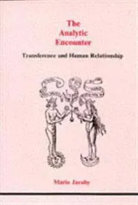 Analytical Encounter