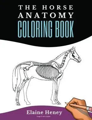 Horse Anatomy Coloring Book For Adults