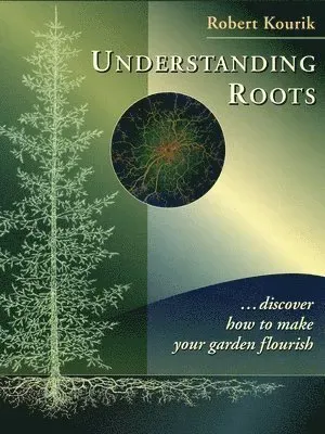 Understanding Roots