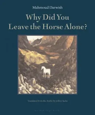 Why Did You Leave The Horse Alone