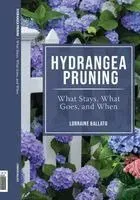 HYDRANGEA PRUNING