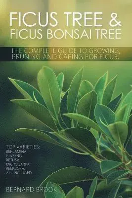 Ficus Tree and Ficus Bonsai Tree - The Complete Guide to Growing, Pruning and Caring for Ficus