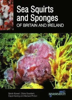 Sea Squirts and Sponges of Britain and Ireland