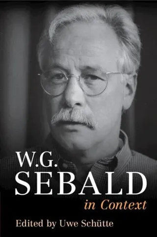 W. G. Sebald in Context