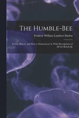 Humble-bee