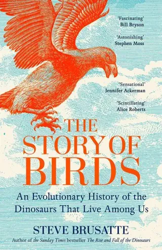 Story of Birds