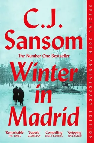 Winter in Madrid