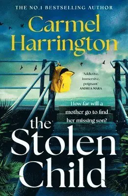 The Stolen Child