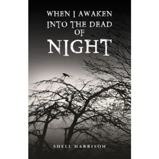 When I Awaken Into The Dead of Night