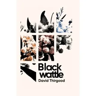 Blackwattle