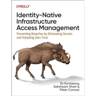 Identity-Native Infrastructure Access Management