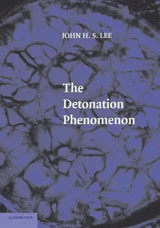 The Detonation Phenomenon