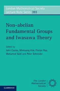Non-abelian Fundamental Groups and Iwasawa Theory