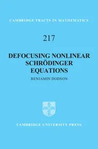 Defocusing Nonlinear Schrödinger Equations