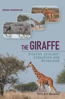 The Giraffe