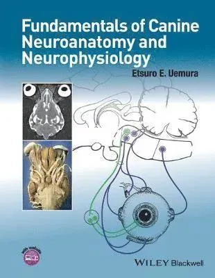 Fundamentals of Canine Neuroanatomy and Neurophysiology