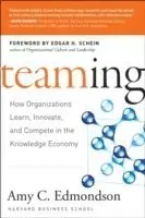 Teaming to Innovate