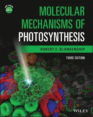 Molecular Mechanisms of Photosynthesis