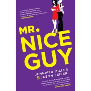 Mr. Nice Guy