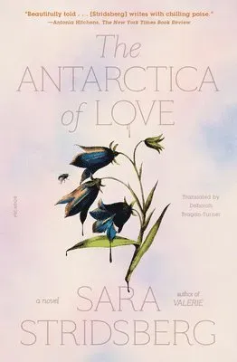 The Antarctica of Love