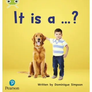 Bug Club Phonics - Phase 2 Unit 3: It is a ...?