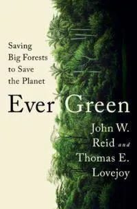 Ever green