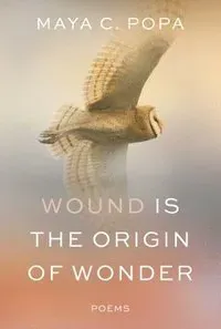 Wound Is the Origin of Wonder – Poems