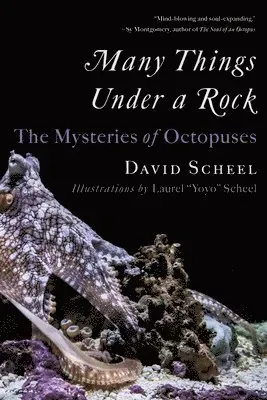 Many Things Under a Rock - The Mysteries of Octopuses