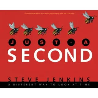 Just a Second