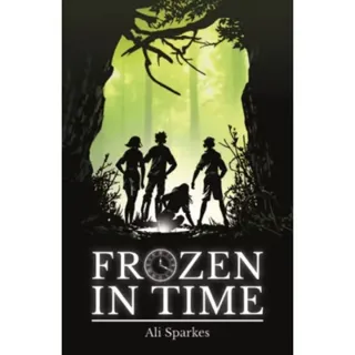 Rollercoasters: Frozen in Time