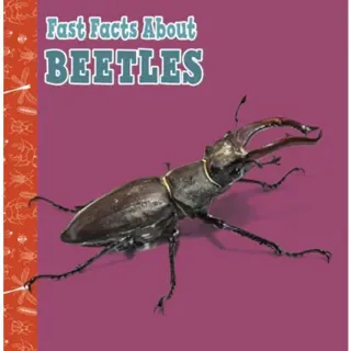 Fast Facts About Beetles