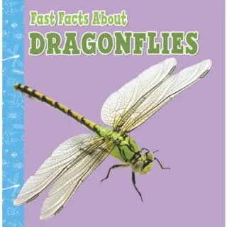 Fast Facts About Dragonflies