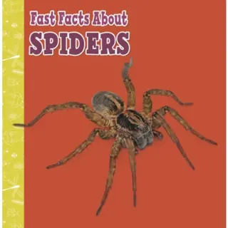 Fast Facts About Spiders