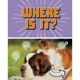 Where Is It?
