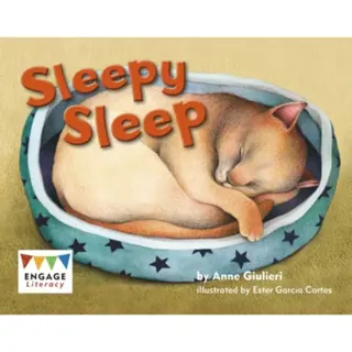 Sleepy Sleep