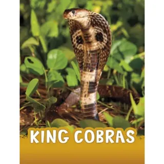 King Cobras