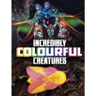 Incredibly Colourful Creatures