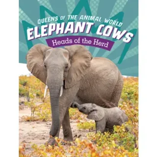 Elephant Cows